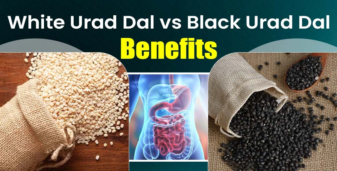 White Urad Dal vs Black Urad Dal: Benefits, Uses & Side Effects